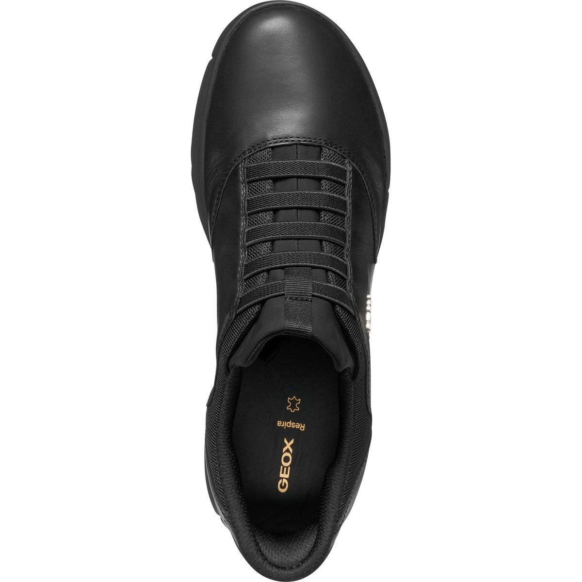 Baskets D NEBULA 2.0 PLUS noir, GEOX