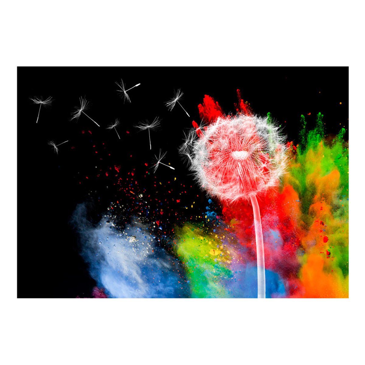 Papier peint intissé panoramique Fleurs Colourful Element multicouleur, EDEN