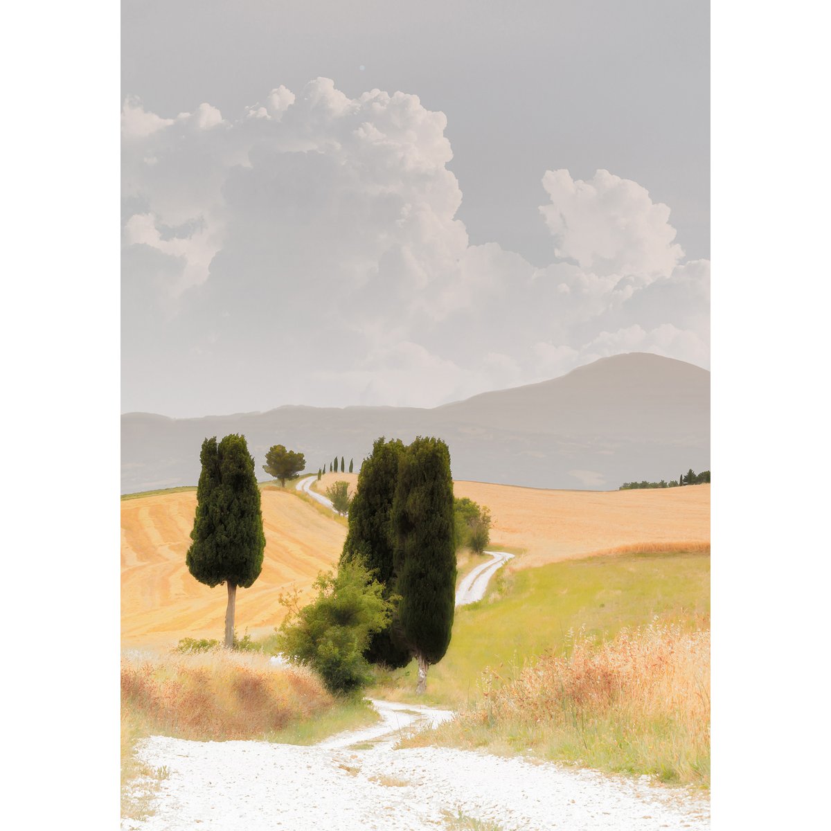 Papier peint panoramique TOSCANE SWEET multicolore, LE PAPIERS DE NINON