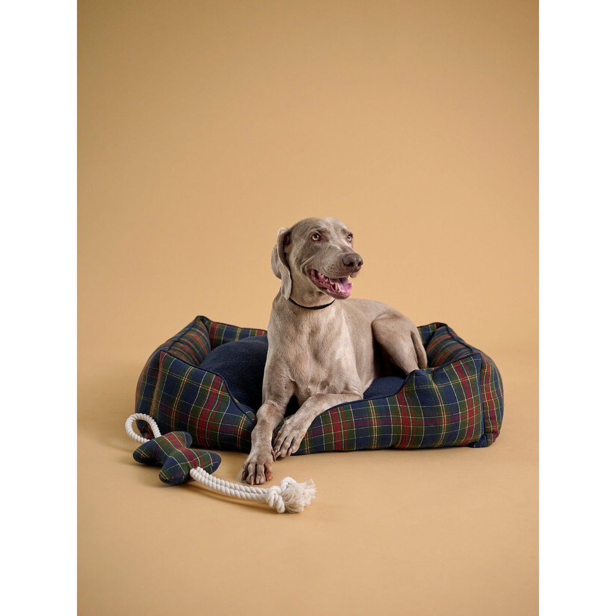 Jouet pour chien - Collection Fine Truffe carreaux ecossais vert, CYRILLUS