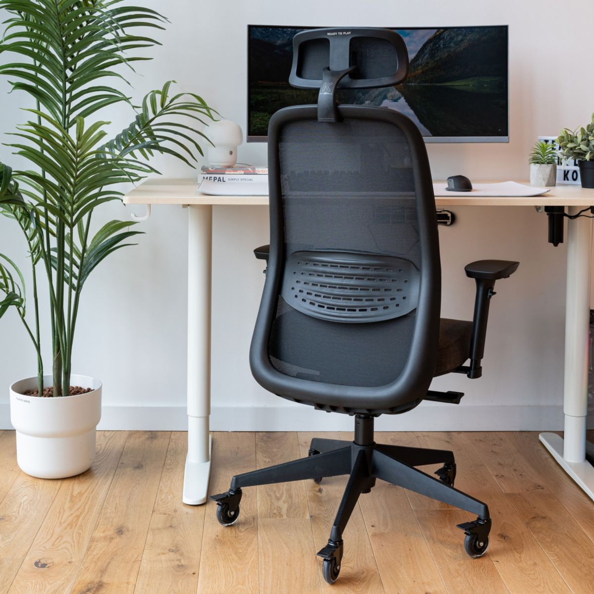 Chaise gaming C15 Ergo Noir Progress couleur unique, SKILLKORP
