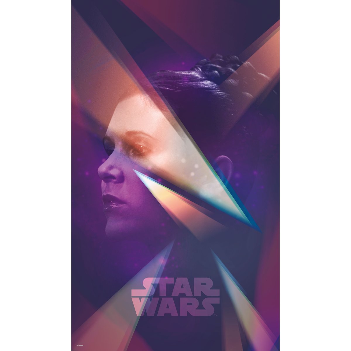 Papier peint Komar - Star Wars Female Leia - 120 x 200 cm violet, HEXOA