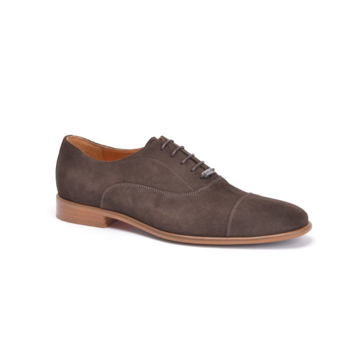 DROIT MARRON marron, AZZARO