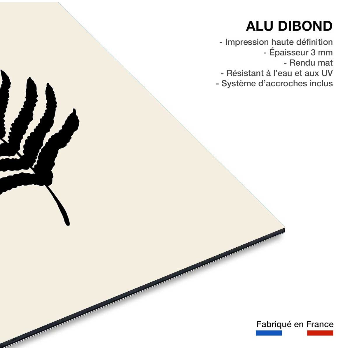 Tableau black fougères tableau alu dibond, HEXOA