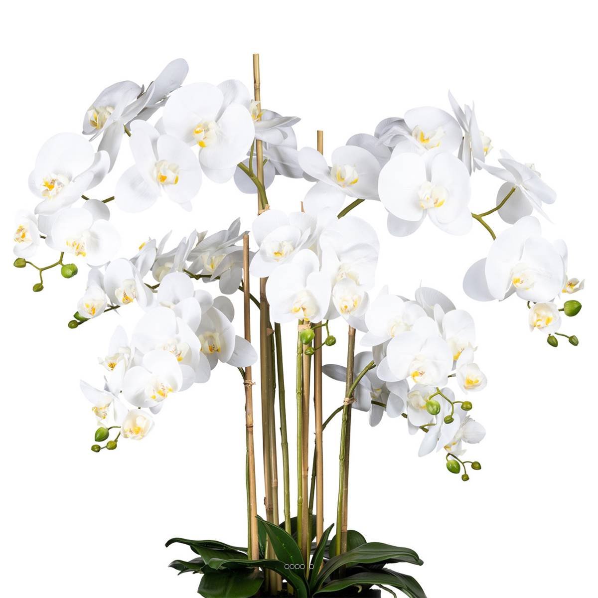Orchidée Factice 7 hampes vase résine noir crème, ARTIFICIELLES