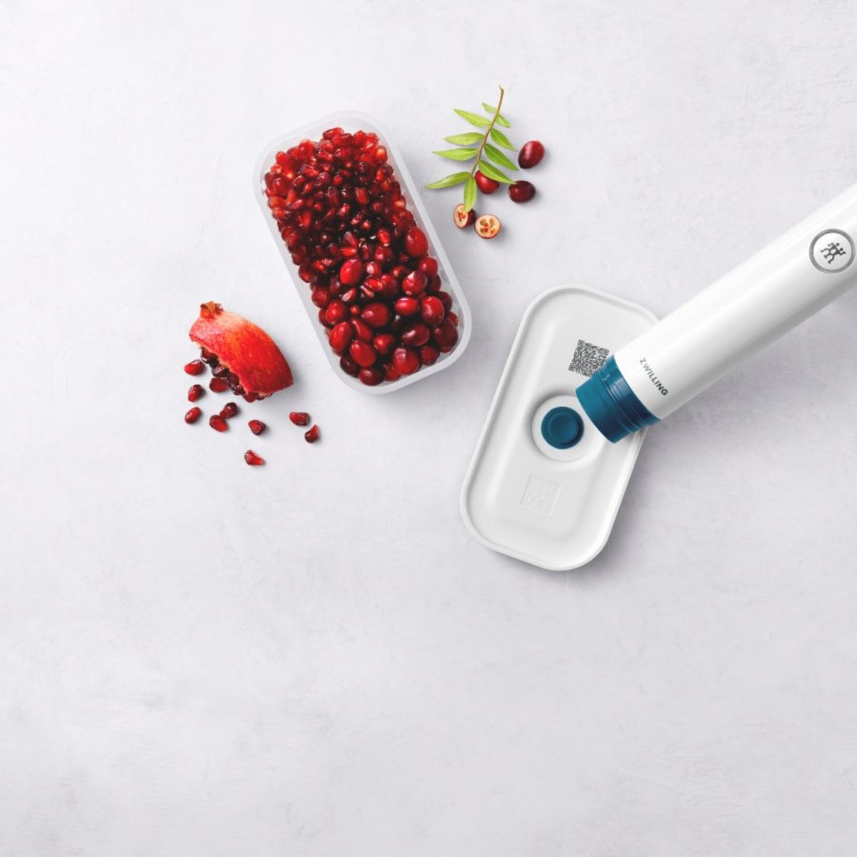 ZWILLING FRESH & SAVE Boîte sous vide S, plastique, semi-transparent La Mer couleur unique, ZWILLING