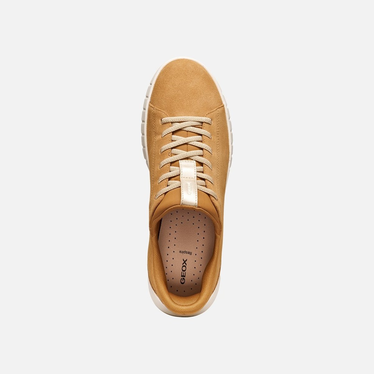 Baskets  D FLEXTRIDE PLUS cognac, GEOX