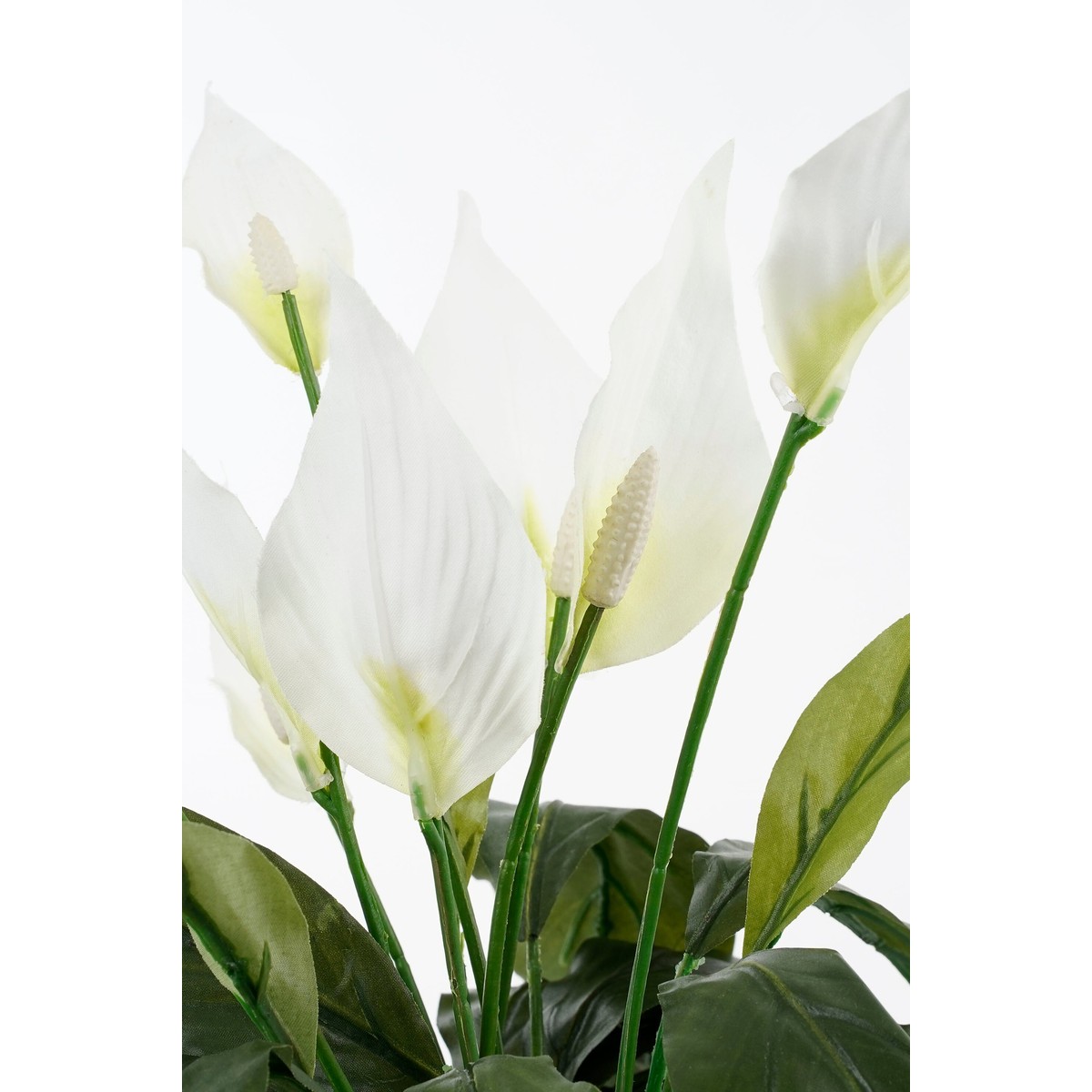 Plante artificielle SPATHIPHYLLUM blanc, MICA DECORATIONS