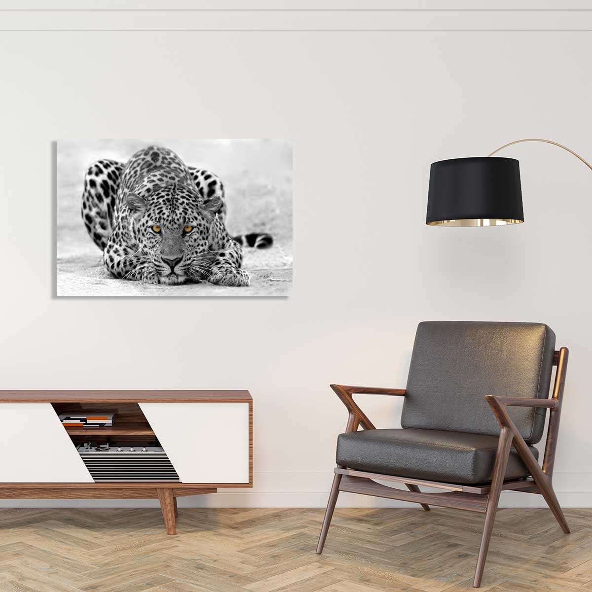 Tableau leopard noir et blanc tableau alu dibond, HEXOA