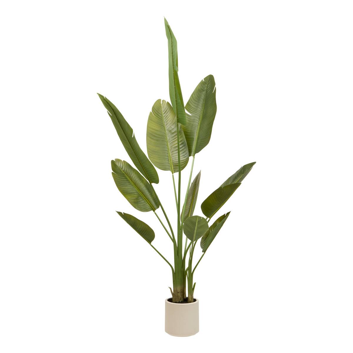 Bananier artificielle 3 troncs H200cm LORA vert, ATMOSPHERA