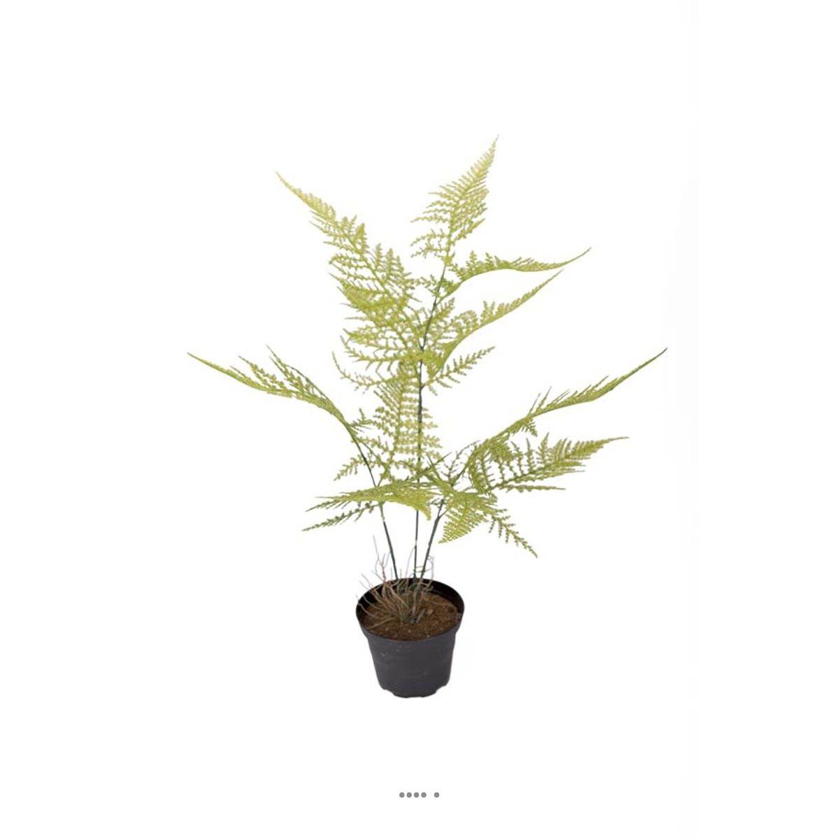Asparagus Plumosus plante verte factice en p v002239, ARTIFICIELLES