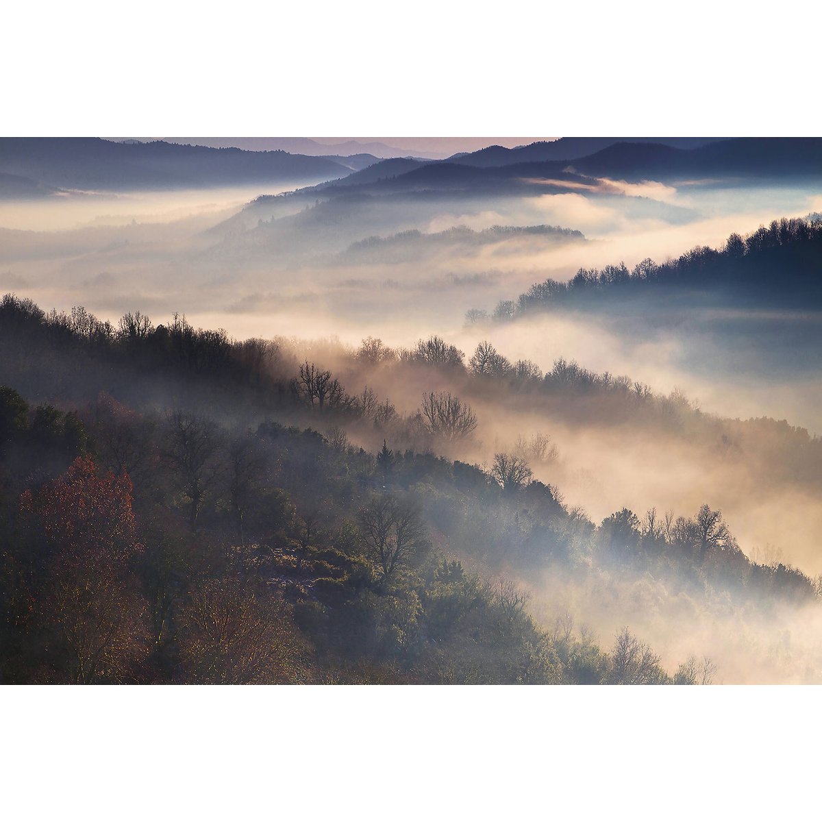 Tableau brume magique tableau alu dibond, HEXOA