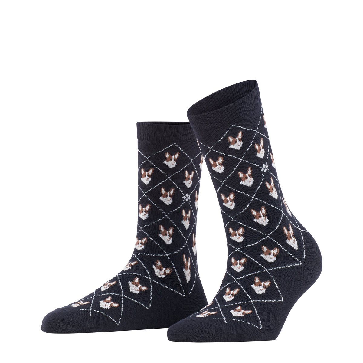 Chaussettes Corgi Opaque noir basique, BURLINGTON
