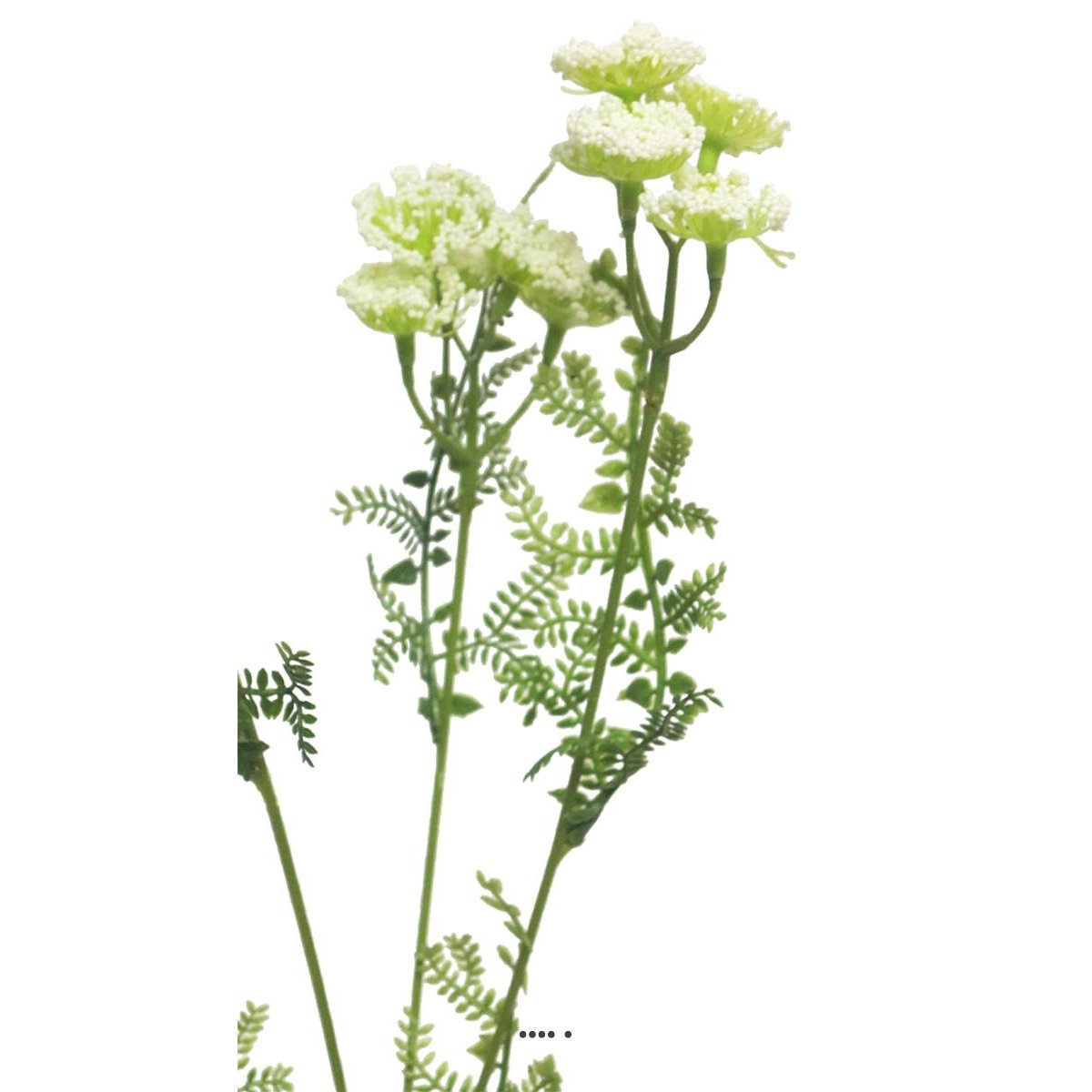 Achillée artificielle en tige, H 52 cm Crèm crème, ARTIFICIELLES