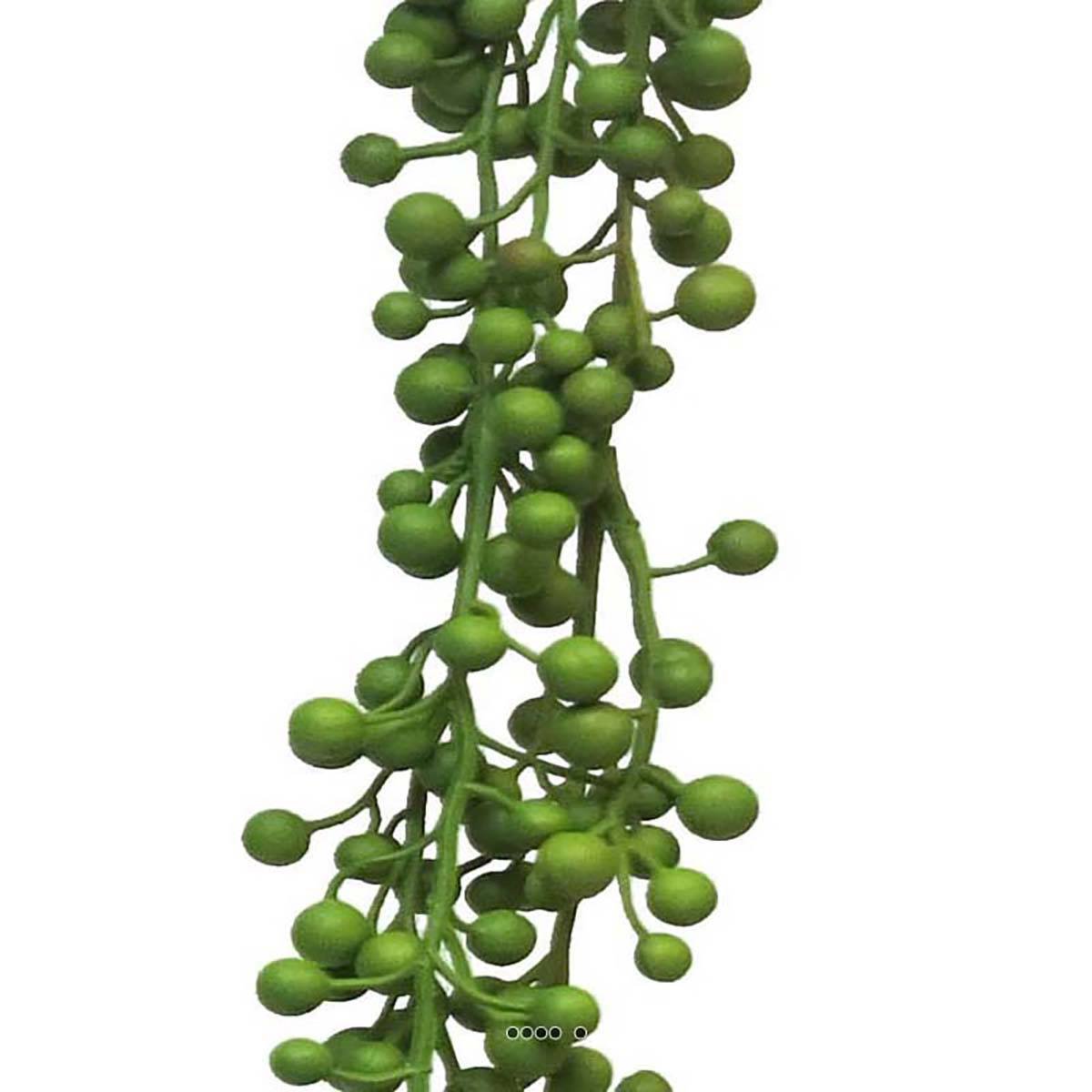 Chute de Senecio artificiel Longueur 60 cm v002239, ARTIFICIELLES