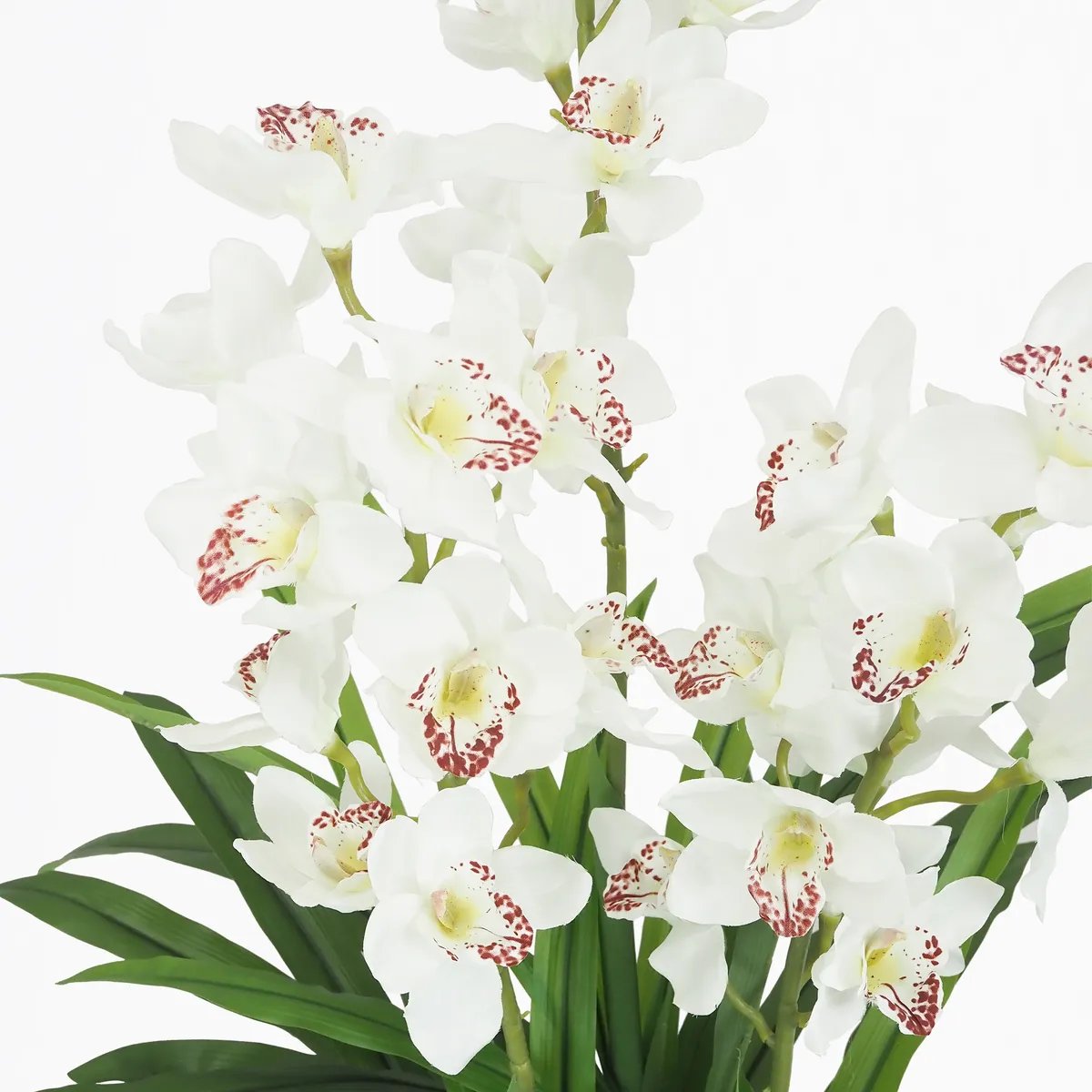 Cymbidium artificiel 155cm blanc, LIGNE DECO
