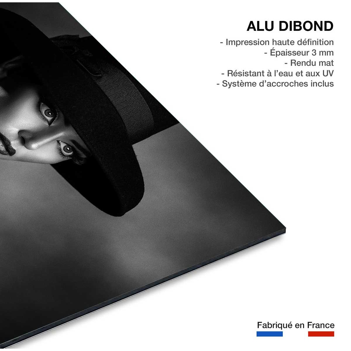Tableau noir et blanc L'élégance tableau alu dibond, HEXOA