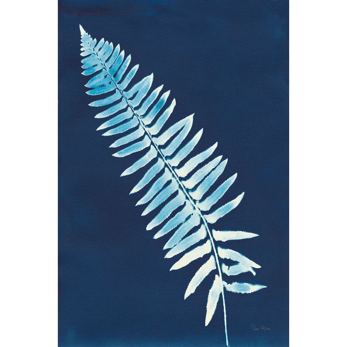 Tableau fleurs Fougère bleue tableau alu dibond, HEXOA