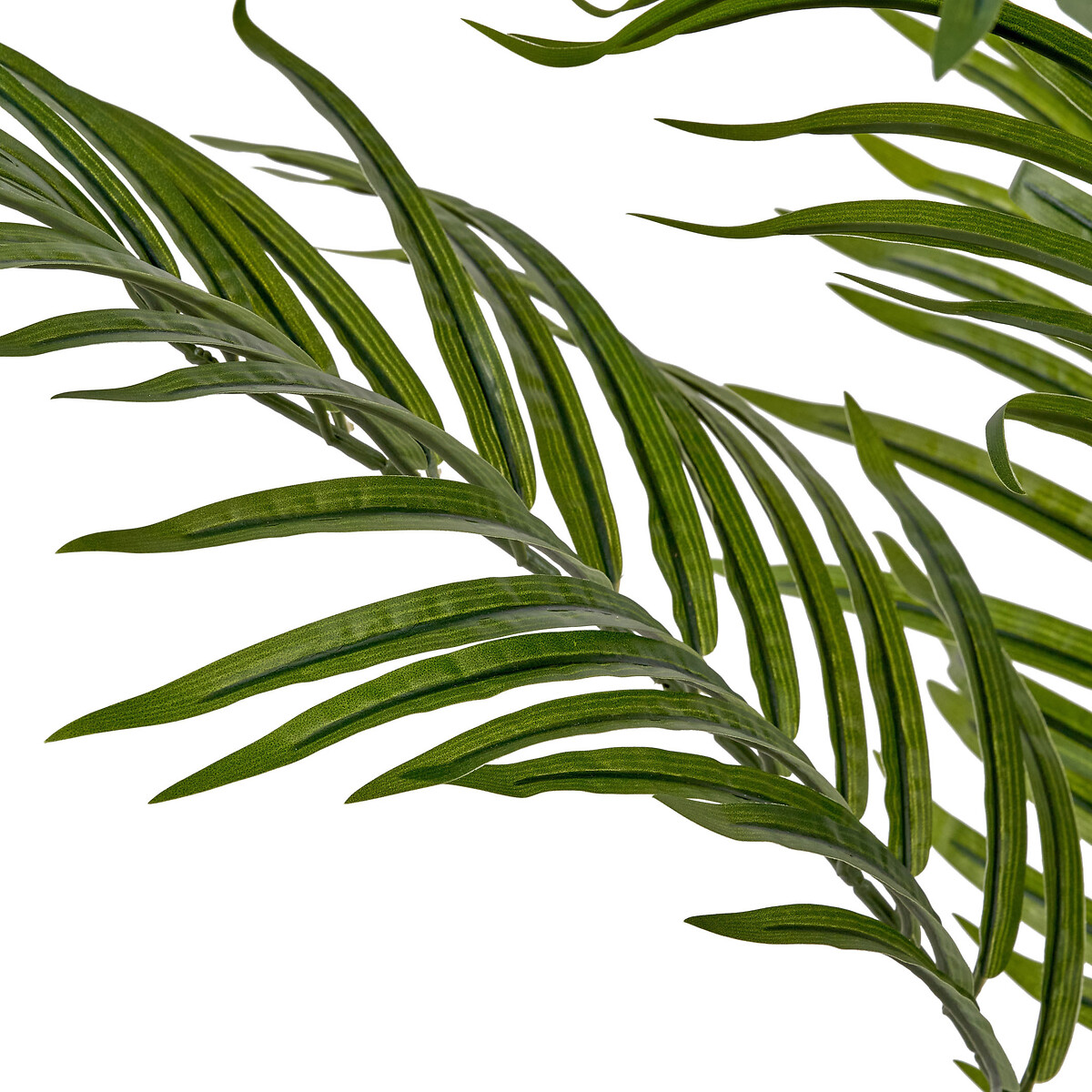 120cm Areca Palm Plant in Pot green, SO'HOME