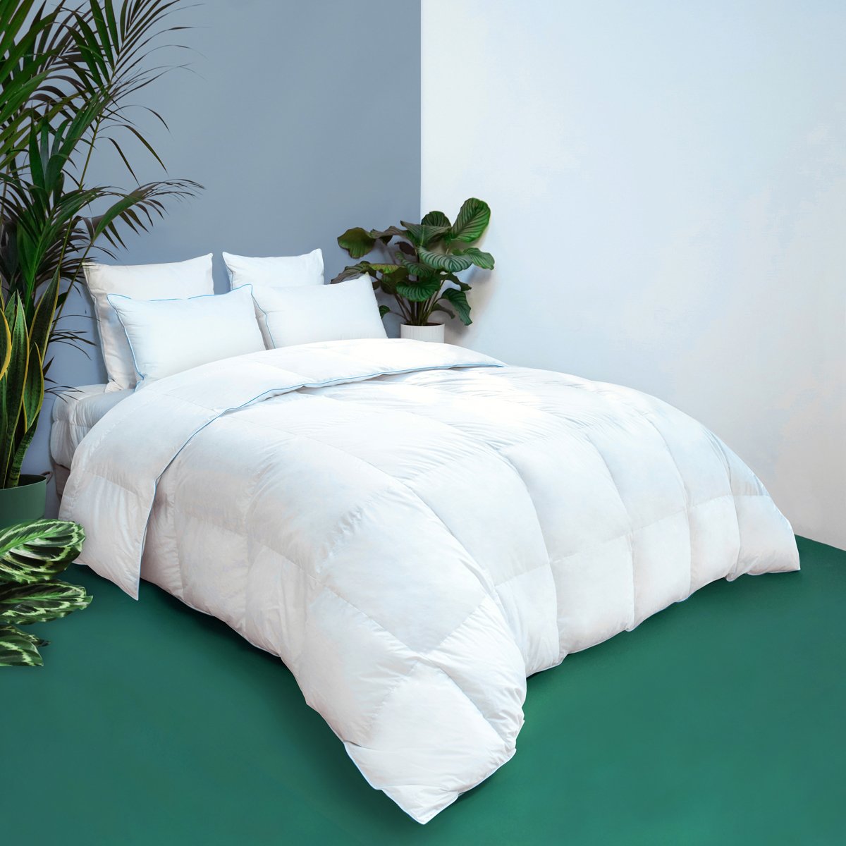 Couette TEMPEREE Toucher Duvet - Coton - Violette blanc, WAKE ME GREEN