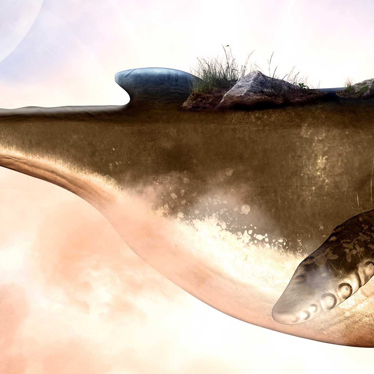 Affiche encadrée Femme debout sur une baleine volante affiche + cadre en métal - noir, HEXOA