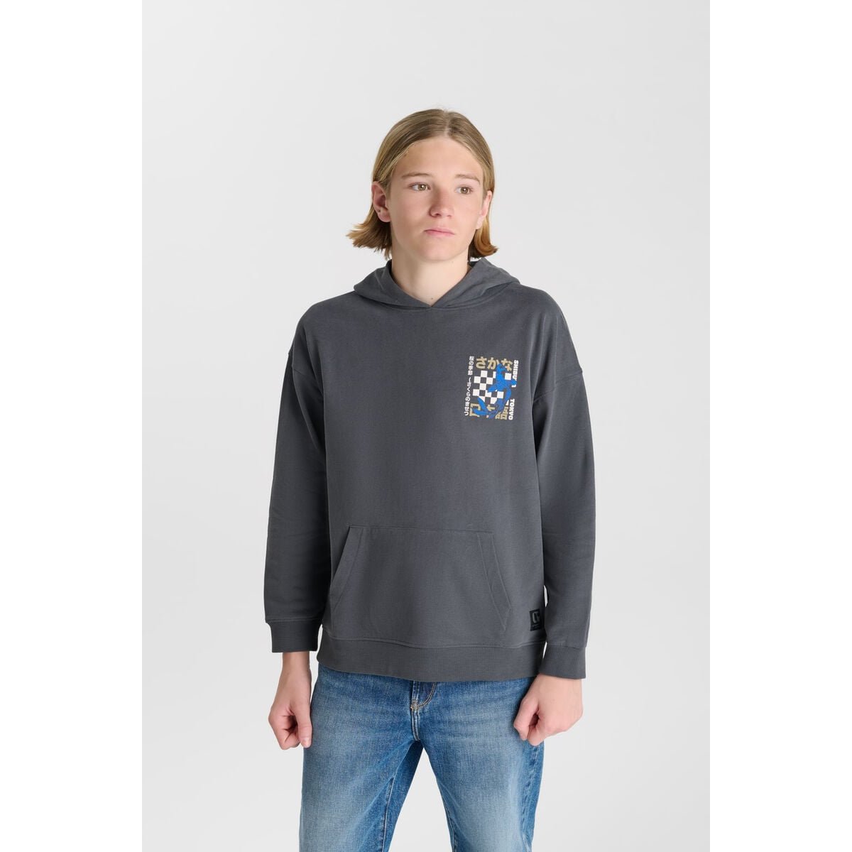 Sweat-Shirt capuche ISTREBO steel, LE TEMPS DES CERISES