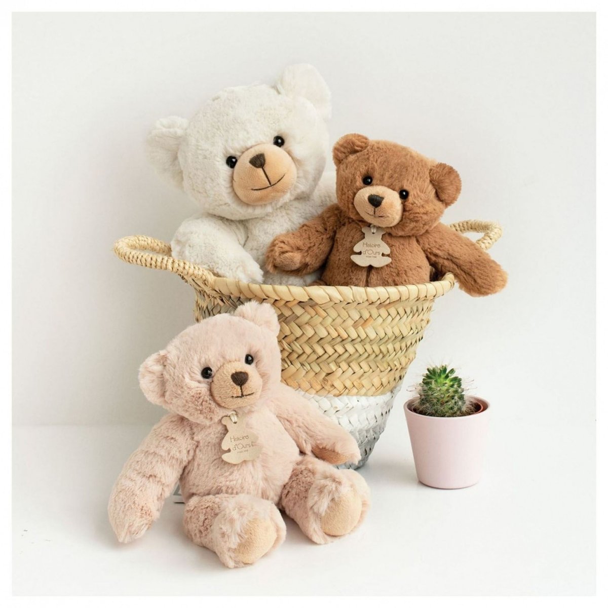 Ours en peluche 22 cm marron, HISTOIRE D'OURS