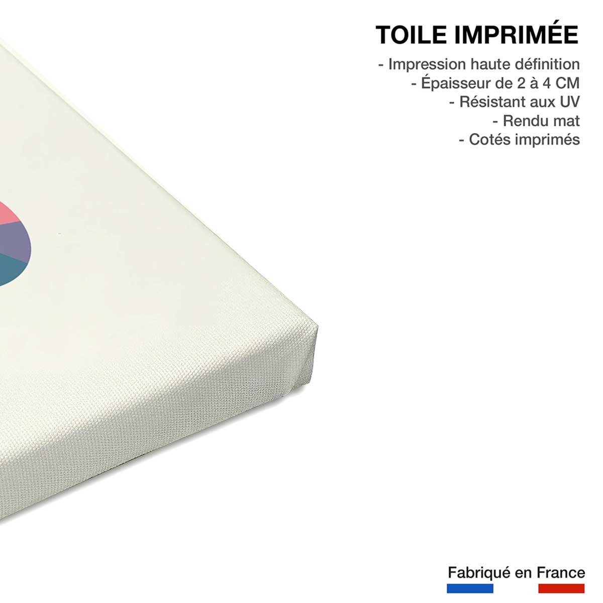 Tableau éléphant circle toile imprimée, HEXOA