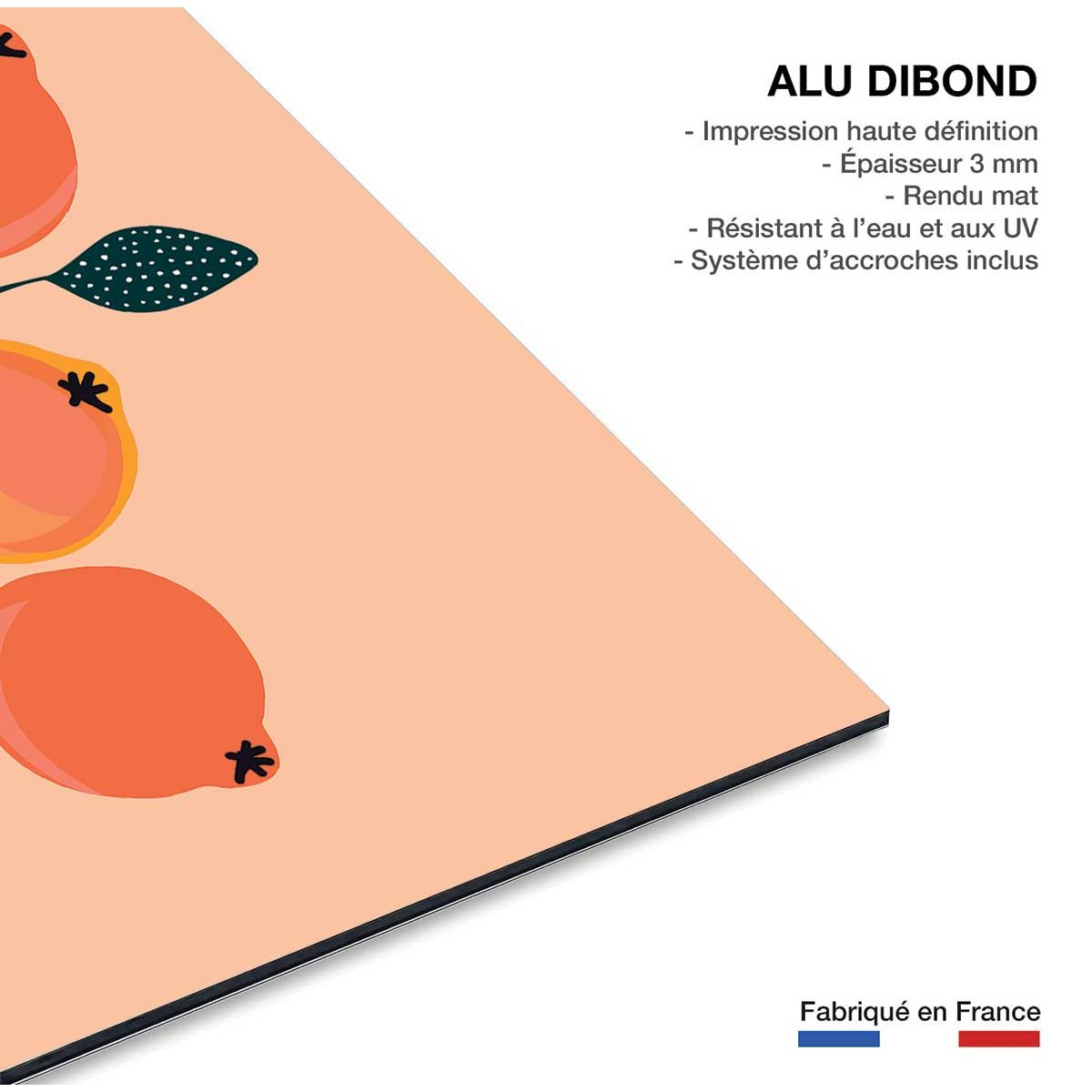 Tableau fruits vintage grenades orangées tableau alu dibond, HEXOA