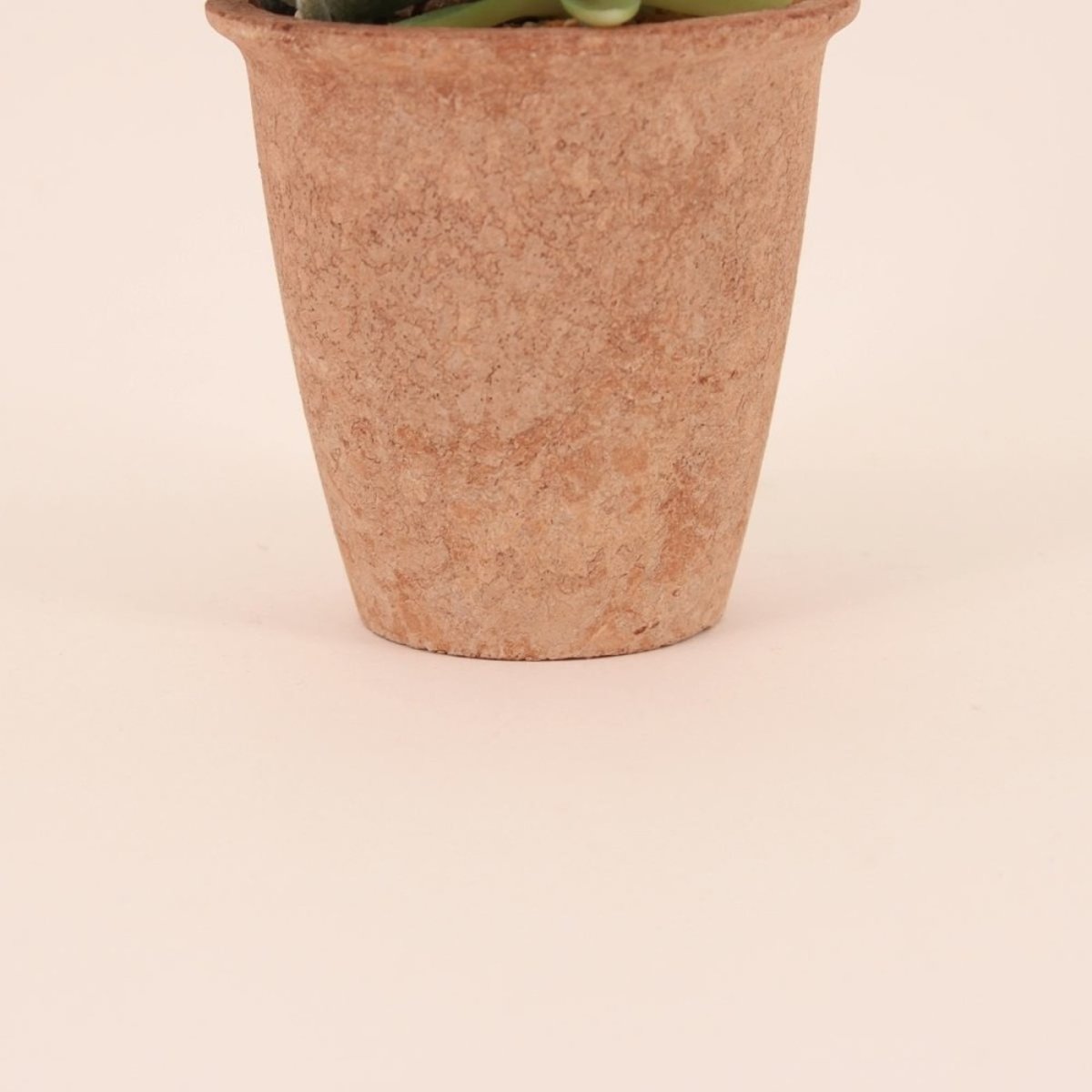 Plantes grasses artificielles 18cm vert, ORNAMI