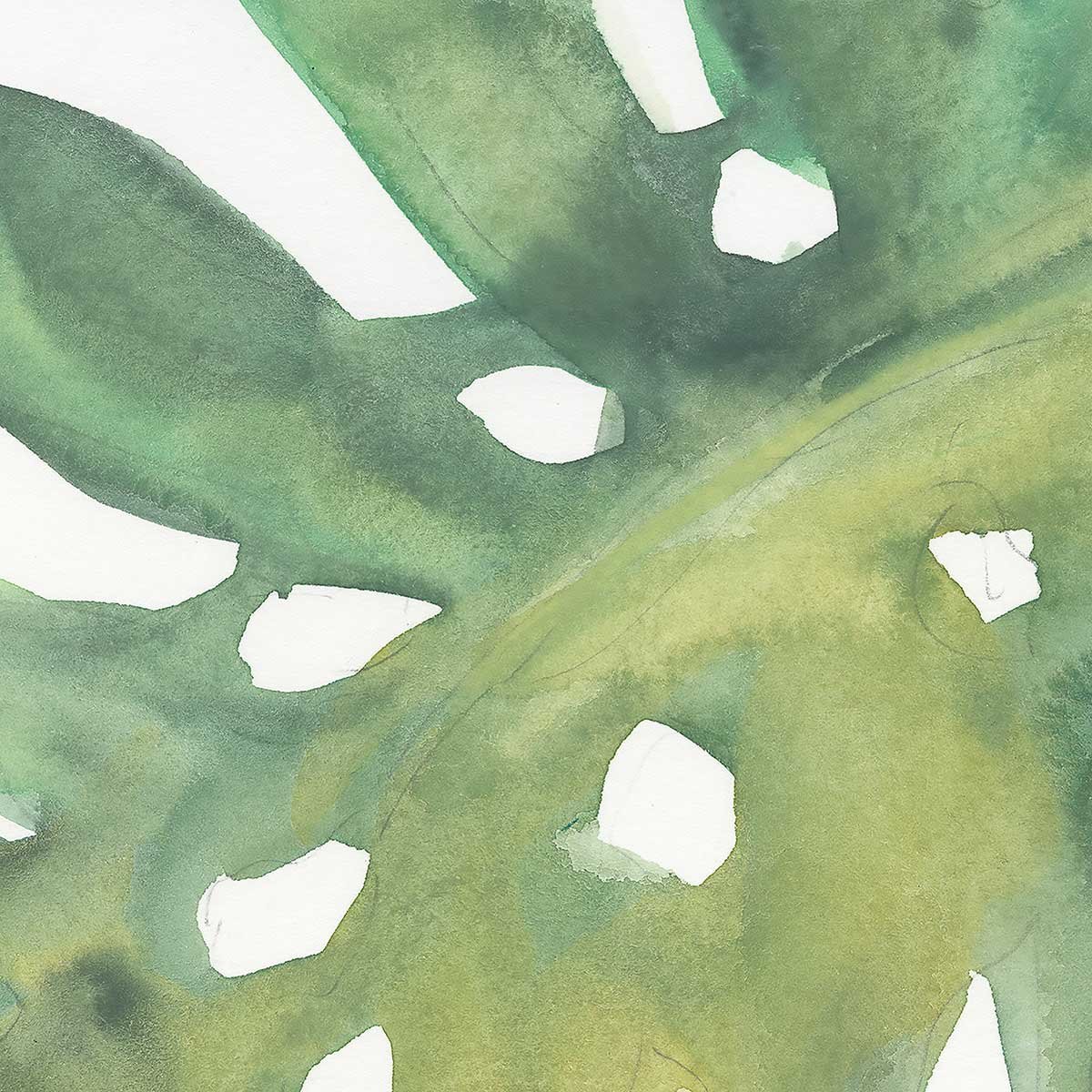 Tableau Plame watercolor tableau alu dibond, HEXOA