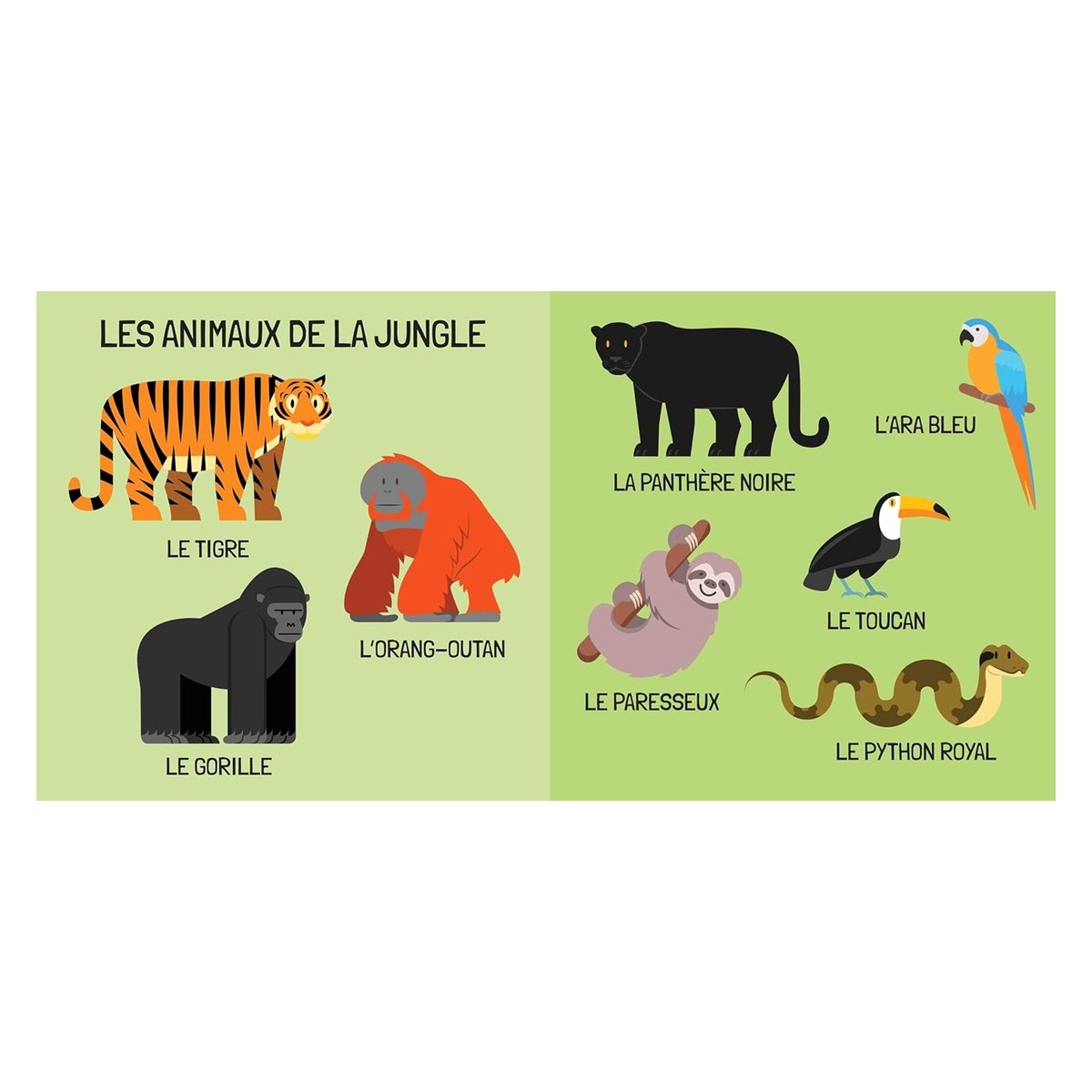 Livre et puzzle Les animaux vert, SASSI JUNIOR