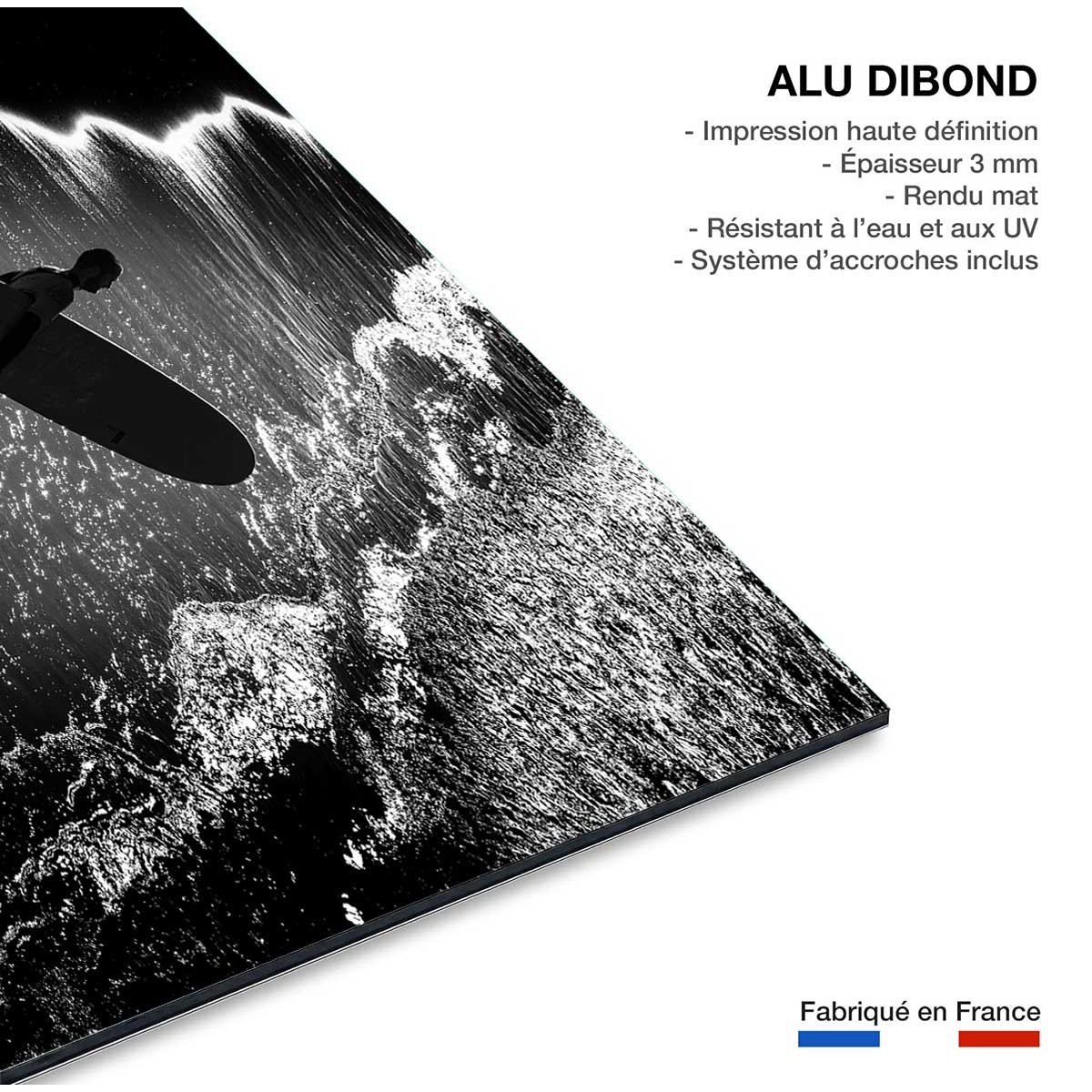 Tableau surf tableau alu dibond, HEXOA