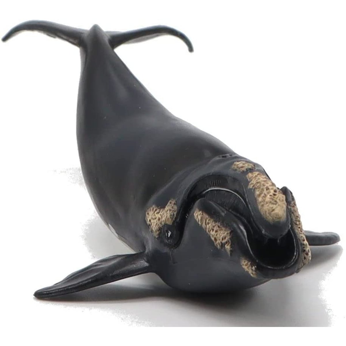 Figurine jeune baleine Franche noir, PAPO