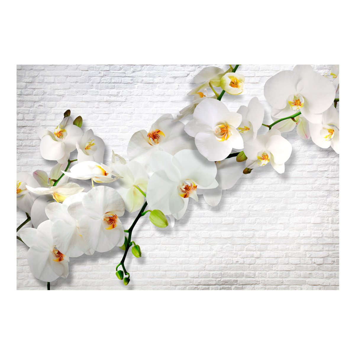 Papier peint intissé panoramique Fleurs The Urban Orchid vert, EDEN