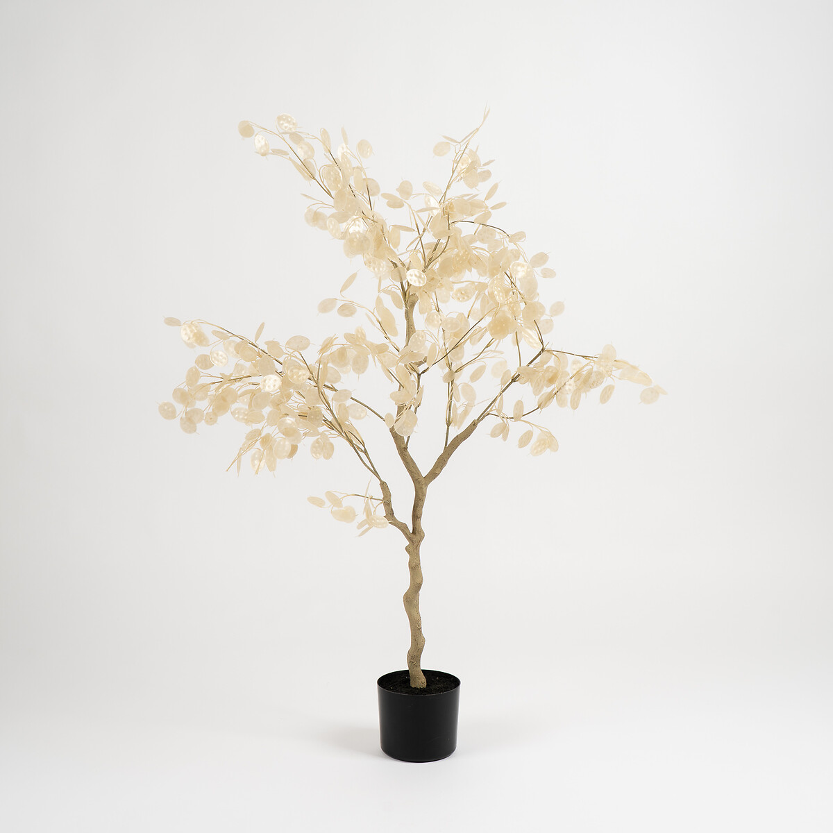 120cm Honesty Tree beige, SO'HOME