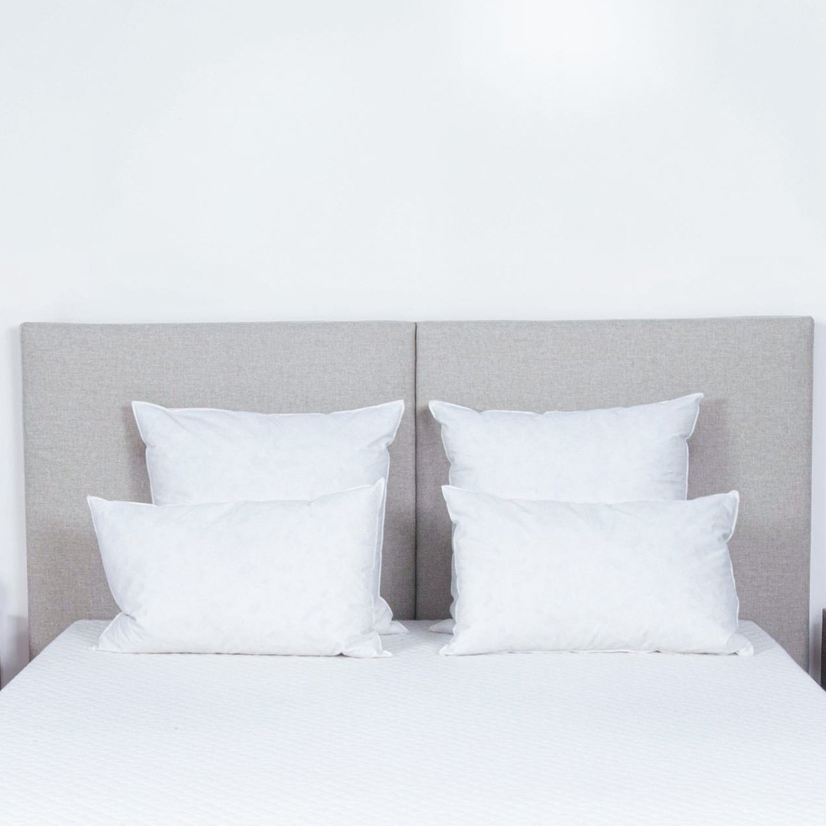 Oreiller Plumes et duvet NATURA blanc, BELLECOUR
