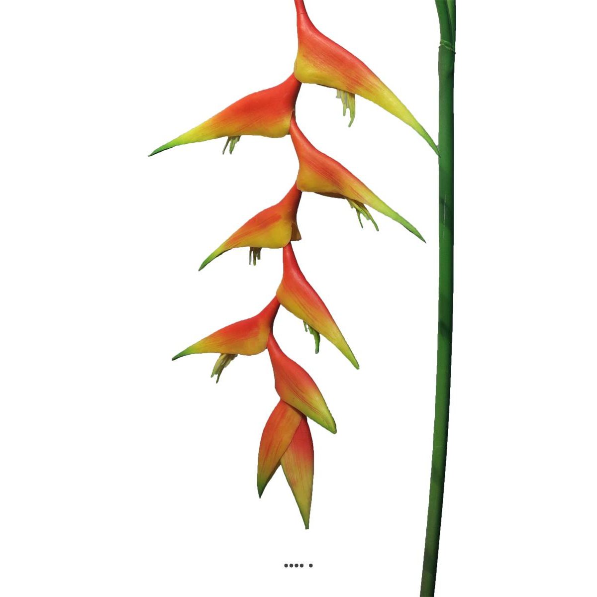 Branche d’Heliconia des Caraibes artifi v002239, ARTIFICIELLES