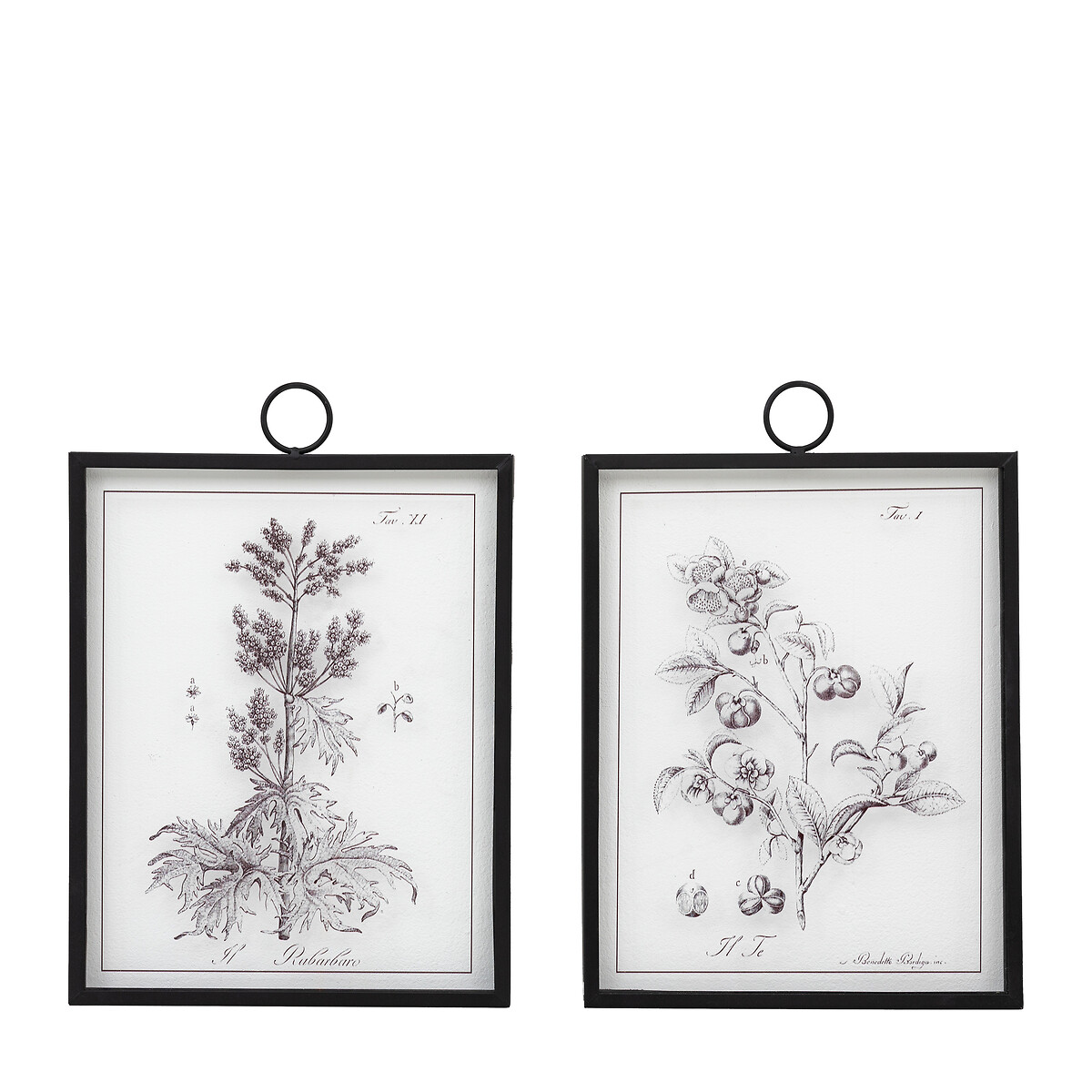 Set of 2 Petiole Art black, ÉDITÉ