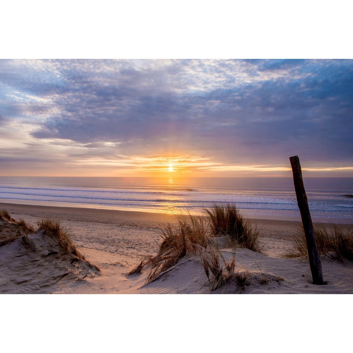 Tableau Mural Plage De Saint Trojan PLAGE tableaux sur toile-violet, CEANOTHE