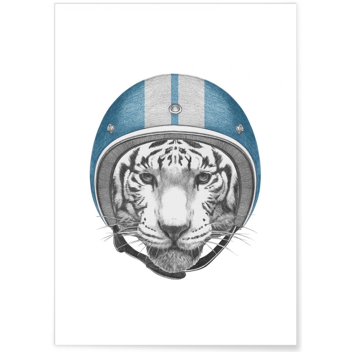 Poster Tigre blanc blanc, L'AFFICHERIE