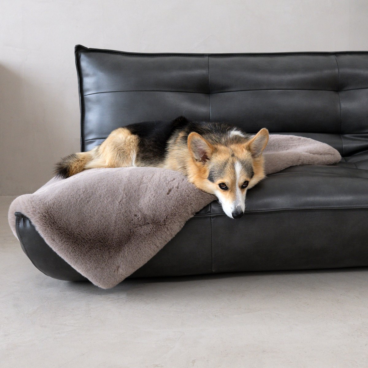 Plaid pour chien tissu imitation fourrure SOFT AFFAIR beige, LABONI