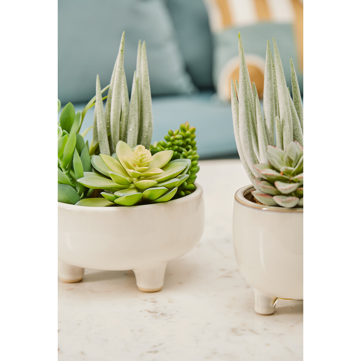 24cm Artificial Fiori Mixed Succulent in White Ceramic Pot green, ÉDITÉ