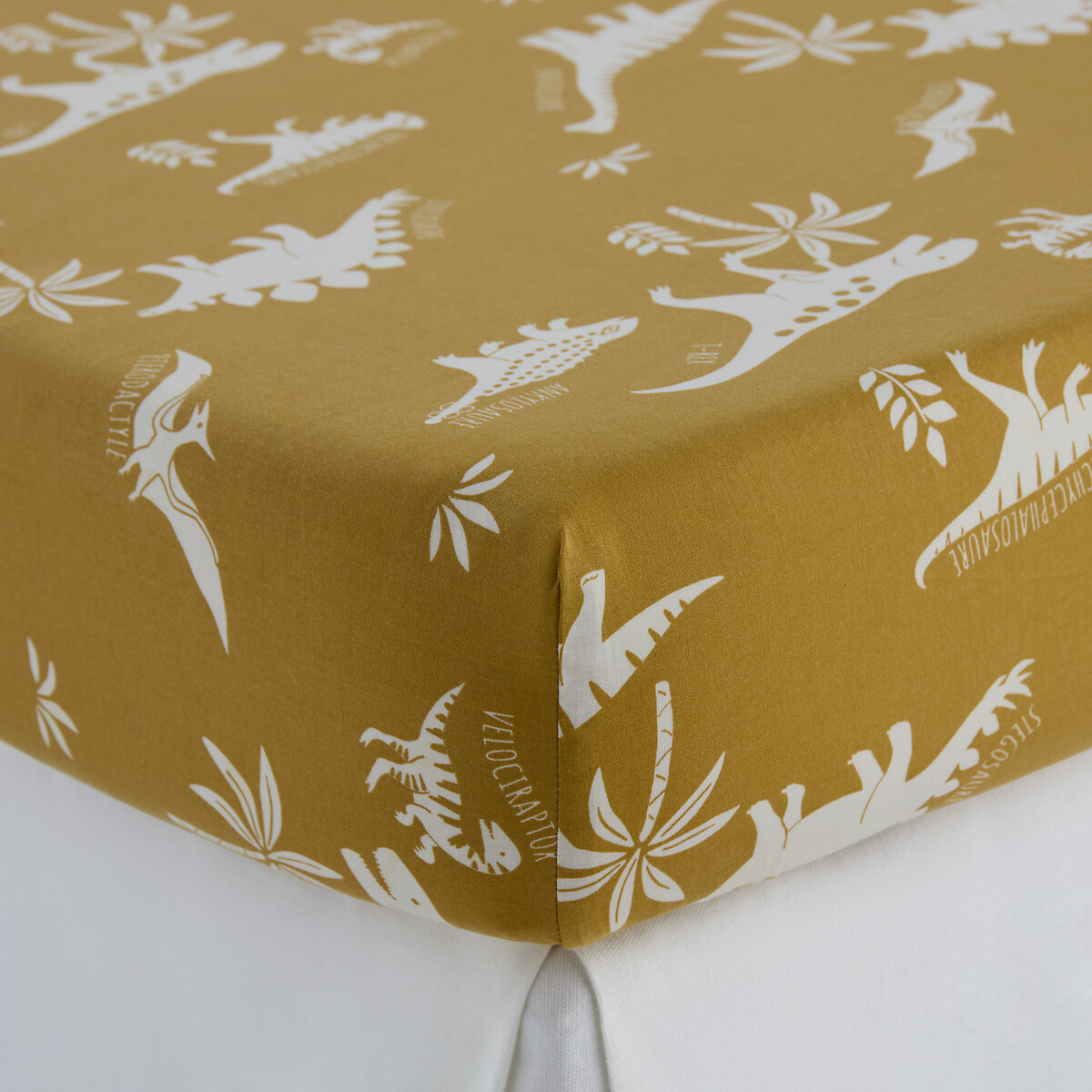 Drap-housse enfant, en coton biologique, bonnet 25 cm, imprimé dinosaures, ALNIS imprimé animal, LA REDOUTE INTERIEURS