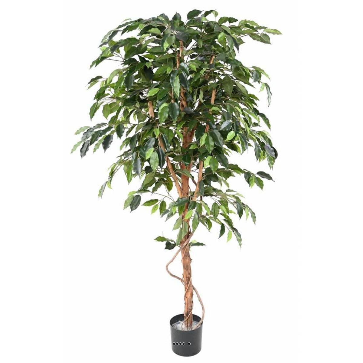 Ficus Benjamina factice grande f vert, ARTIFICIELLES