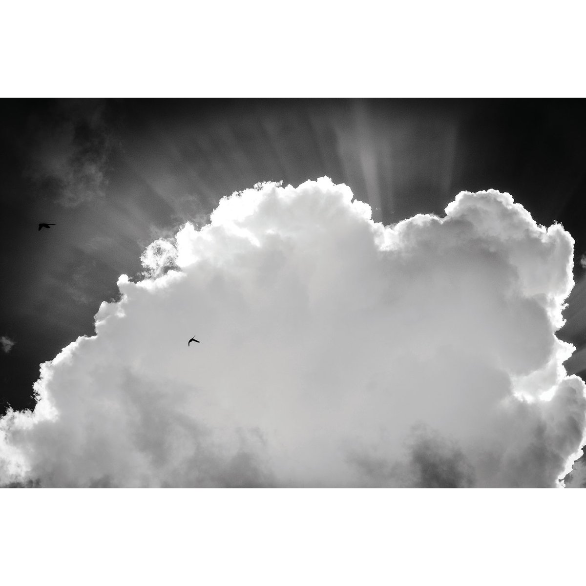 Tableau Affiche illustration graphique cathodique tableau alu dibond, HEXOA