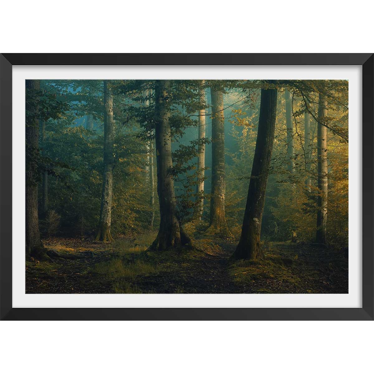Affiche sous-bois en octobre affiche + cadre en bois - noir, HEXOA