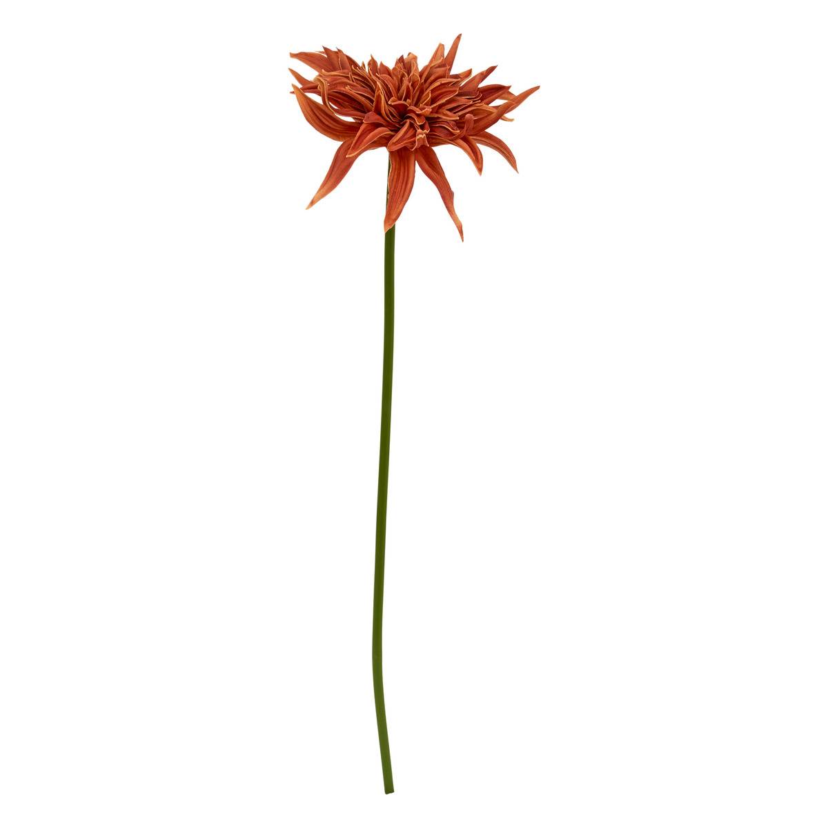 Tige décorative Homy H.55cm modèle b, ATMOSPHERA