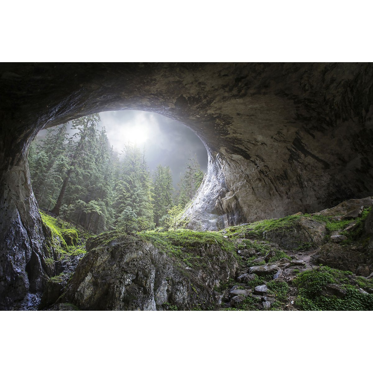 Tableau coup d'oeil au paradis tableau alu dibond, HEXOA