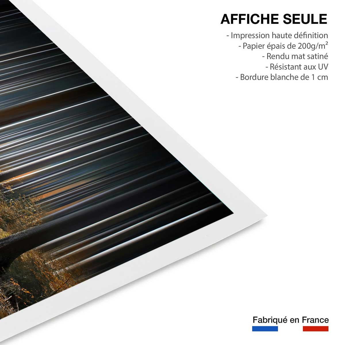 Affiche paysage forêt fantastique affiche seule, HEXOA